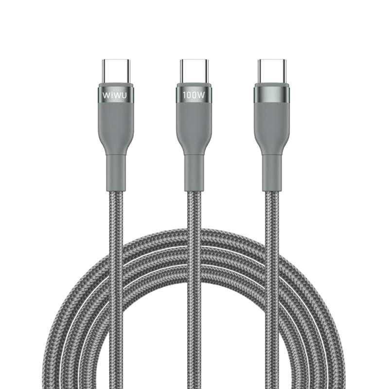 WiWu Wi-C029 Type-C to Type-C x2 100W Cable 2M